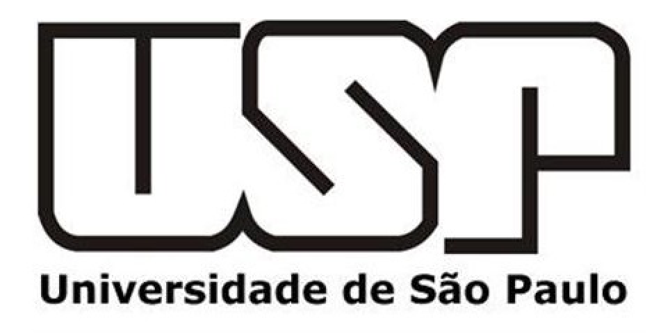 USP - Universidade de São Paulo - Cliente arcabuzz - Bruno Peres